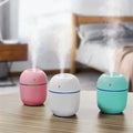 Egg Shape Room Mist Humidifier - USB Cool Mist - Random Colours
